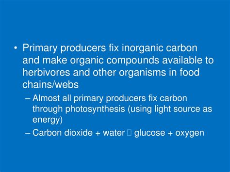 Ppt Physiology Of Marine Primary Producers Powerpoint Presentation