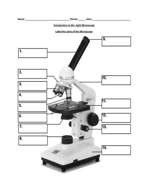 Biology 1010 LAB Test Quiz