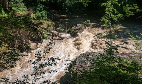 Fluxo de água lamacento de um rio tempestuoso entre a floresta verde de