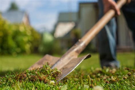 Wiesenpflege Ilhan S Gartenpflege Hausmeisterservice