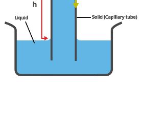 Capillary Action Explanation Derivation Examples Psiberg