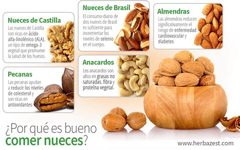 Por qué es bueno comer nueces HerbaZest