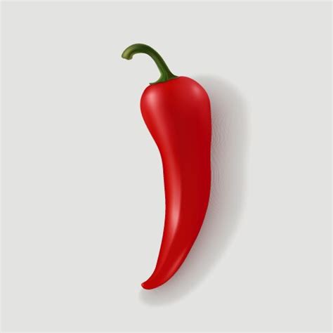 Chili Isolated Realistic Hot Pepper Advert Vector Image