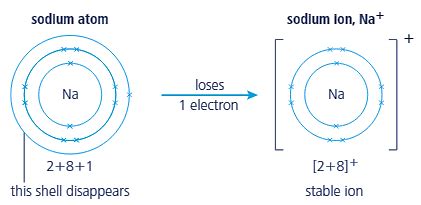 Draw a diagram to show how sodium atom gains a stable outer shell ...