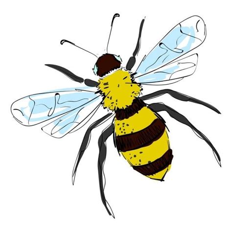 Bonito Dibujo De Abeja Ilustraci N Vectorial Sobre Fondo Blanco Png