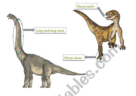 10 Little Dinosaurs Worksheet Count And Circle Super Simple