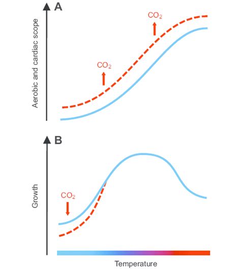 Thermal Performance Mismatch Between Aerobic Scope And Growth