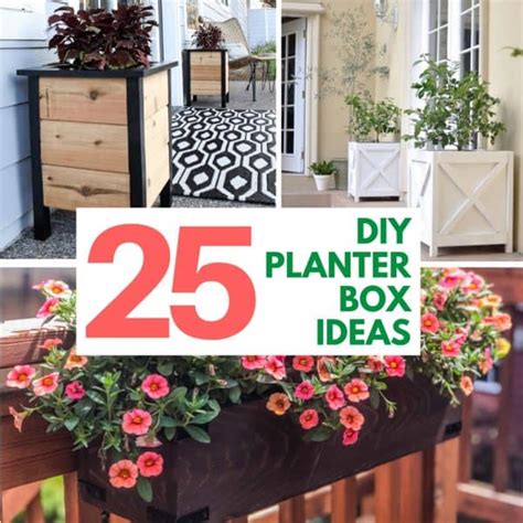 DIY Planter Box with Trellis - The Handyman's Daughter