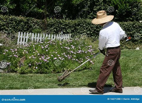 Man Edging Grass Landscaping Royalty Free Stock Photos Image 16671288