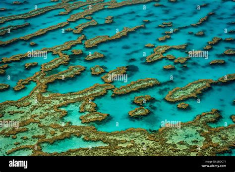 Great Barrier Reef Australia Fotos Und Bildmaterial In Hoher