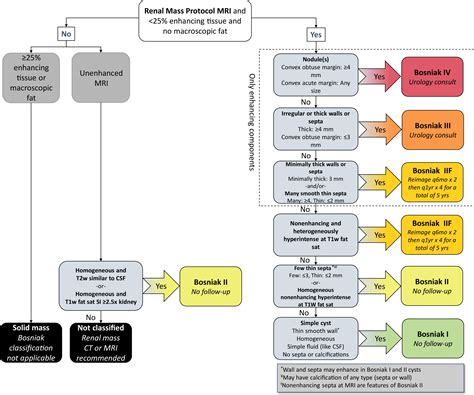 Bosniak Classification Of Cystic Renal Masses Version 2019 A Pictorial Guide To Clinical Use