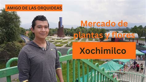 Mercado De Flores Y Plantas En Xochimilco Youtube