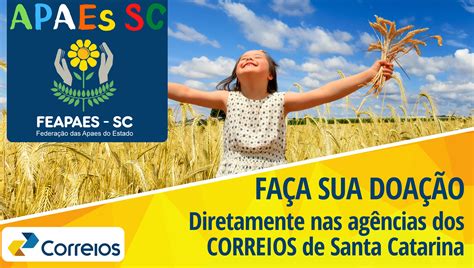 Federa O Das Apaes Do Estado De Santa Catarina Feapaes Sc