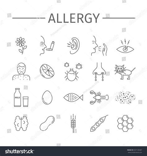 Allergy Causes Symptoms Line Icons Set Stock Vector Royalty Free