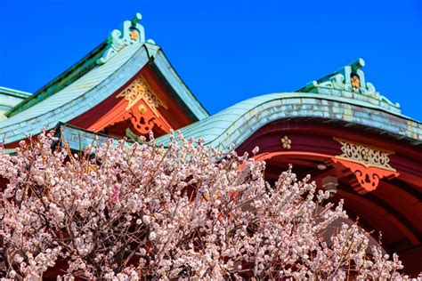 子どもと楽しめる！南関東のおすすめご当地イベント！ いこーよとりっぷ