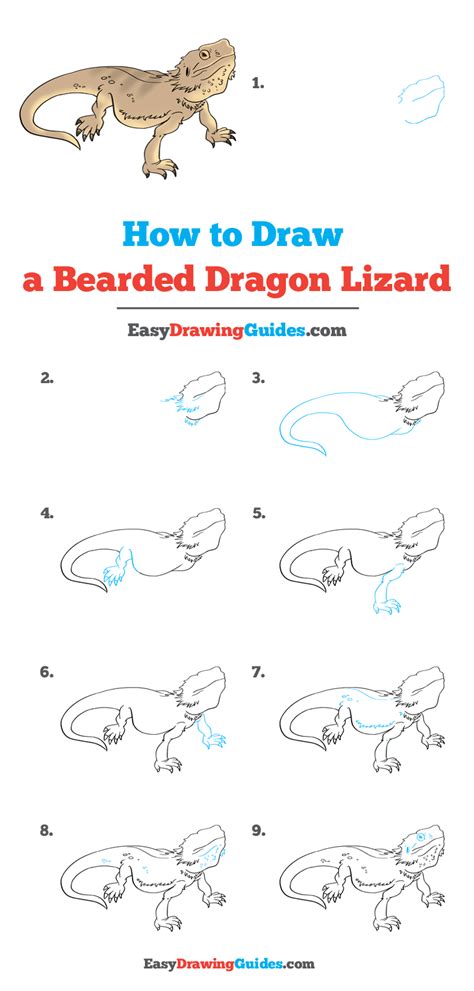 How To Draw A Bearded Dragon Lizard Really Easy Drawing Tutorial