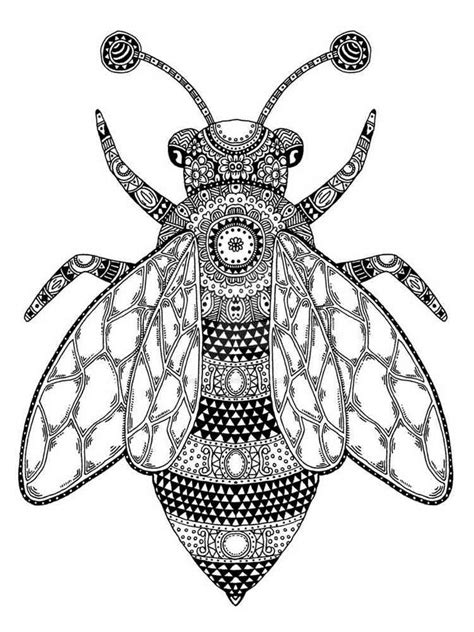 Explore 75 Newest Zentangle Fly Coloring Pages Free To Print And