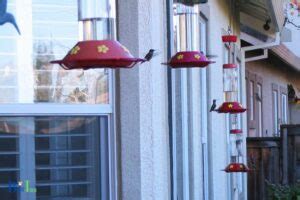 How To Hang Hummingbird Feeder On Balcony