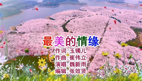 【张效贤爱音乐】魏新雨演唱的《最美的情缘》柔柔情歌，醉人心扉 2万粉丝1万作品音乐视频 免费在线观看 爱奇艺