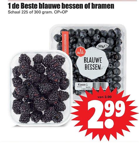 De Beste Blauwe Bessen Of Bramen Aanbieding Bij Dirk Folders Nl