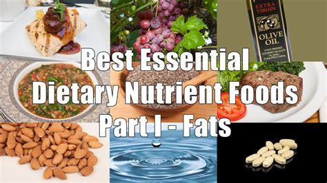 Best Essential Dietary Nutrient Foods Part I Fats 700 Calorie Meals Dituro Productions Llc