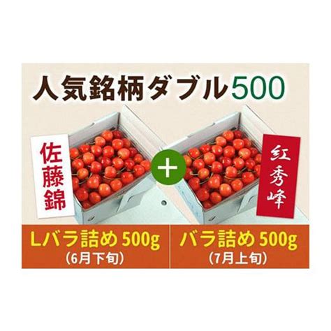 ふるさと納税 山形県 《先行予約 2024年度発送》【頒布会】さくらんぼ人気銘柄ダブル500 佐藤錦and紅秀峰 Fsy 0155 5284669 ふるさとチョイス 通販