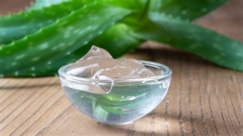 Conserva Pi A Lungo Il Gel Dell Aloe I Trucchi Imperdibili