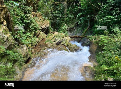 Waterfall In A Lush Rainforest Vegas Grande Waterfall In Topes De