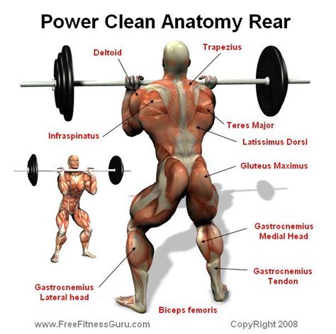 √ Clean Vs Power Clean Vs Hang Clean