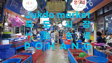 4K KOREA MARKET포항 죽도시장A market famous for seafood in Korea Pohang