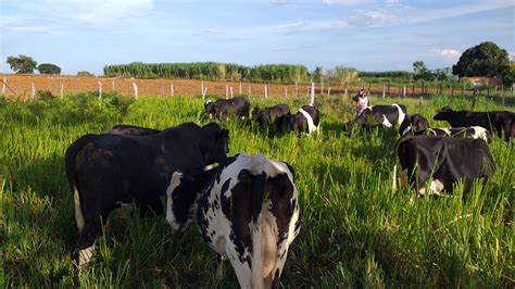 Projeto Fip Paisagens Rurais Atende Munic Pios Na Regi O Oeste Da Bahia