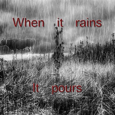 When It Rains It Pours Right Down On Me Brollies Positive Motivation When It Rains Always