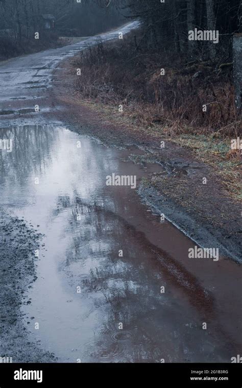 Dirt Road And Puddle With Rainwater Leading Into Dark Forest In Autumn