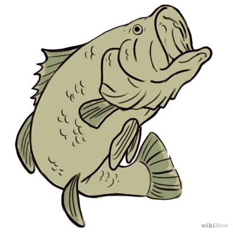 How To Draw A Bass 5 Steps With Pictures Wikihow Bass Fish