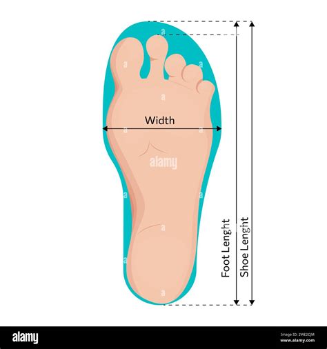 how to know the size of your foot