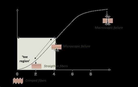 4 Typical Stress Strain Curve For Ligaments And Tendons Adapted From Download Scientific