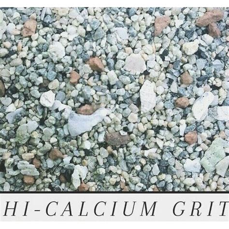 Calcium Grit And Oyster Shells For Birds And Chickens Bulk Choose Size