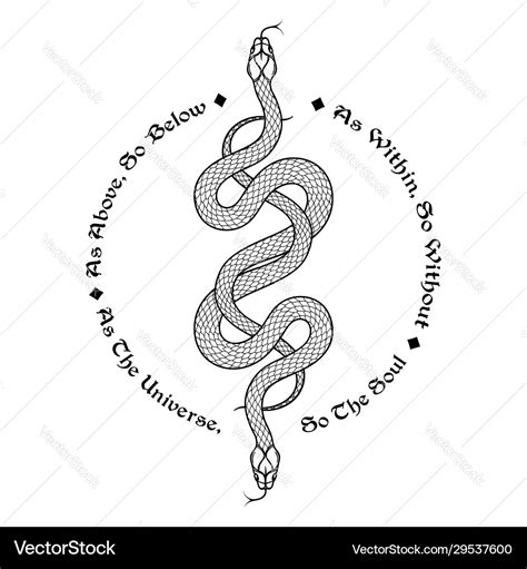 Two Serpents Intertwined Royalty Free Vector Image