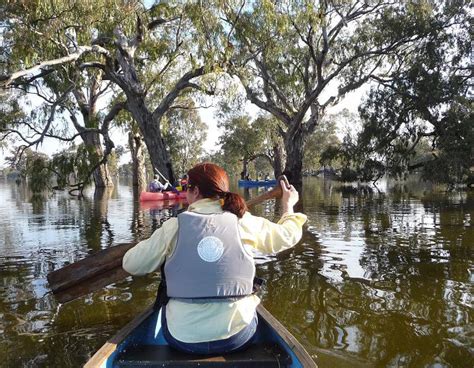 Gum Swamp Reserve Walla Walla | NSW Holidays & Accommodation, Things to ...