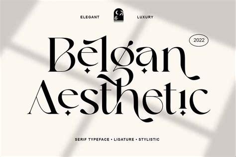 Belgan Aesthetic Font Dfonts