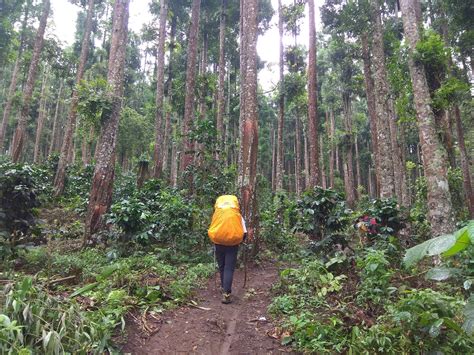 Napak Tilas Pendakian Ke Gunung Argopuro Via Jalur Nekat Bremi