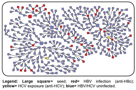 Scielo Brasil High Risk Behaviors For Hepatitis B And C Infections