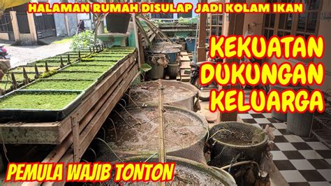 KHUSUS PEMULA MEMBUAT KOLAM DIHALAMAN RUMAH AWALNYA DIRAGUKAN