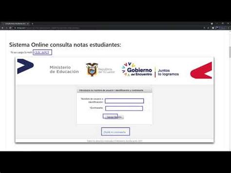 Guía completa para acceder y visualizar las notas en la plataforma