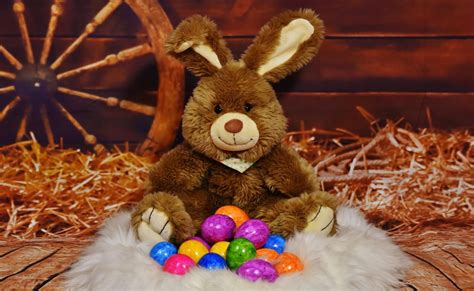 Free Images Autumn Rabbit Egg Easter Bunny Easter Eggs Happy