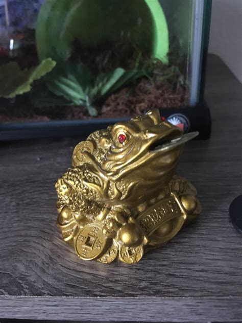 My Feng Shui Money Frog Aka Three Legged Toad God R Frogs