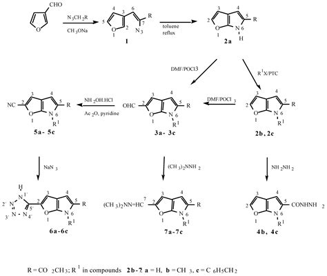 Molecules Free Full Text Synthesis And Reactions Of Furo B Pyrroles