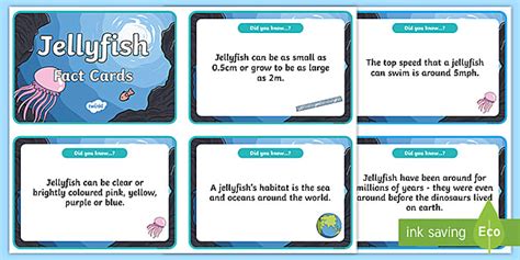 Jellyfish Fact Cards (teacher made) - Twinkl