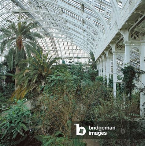 Image Of Kew Gardens Palm House Th Century Iron