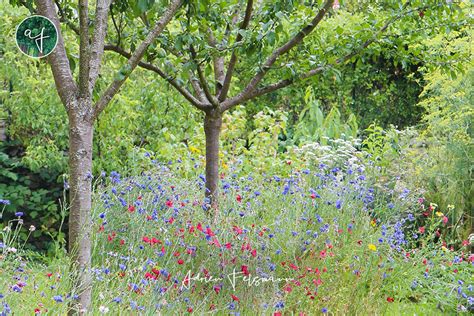 Nos meilleurs conseils pour créer votre jardin nourricier écologique